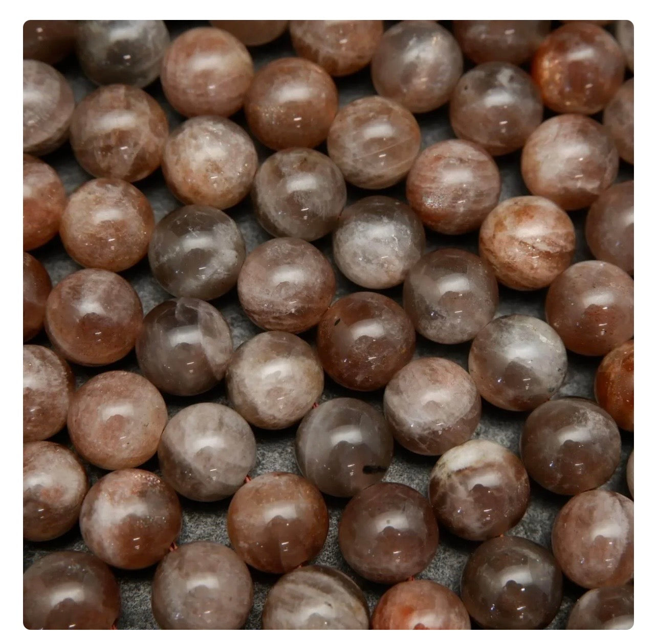Chocolate Brown Moonstone 6.5mm